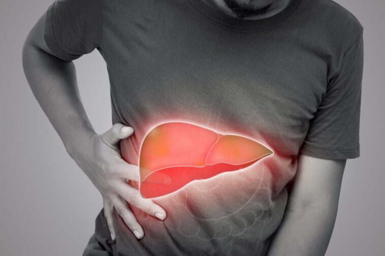 Warning Signs That You Have a Fatty Liver and How to Cleanse It