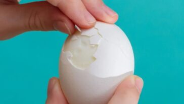 When You Eat Eggs Every Day, This Is What Happens to Your Body