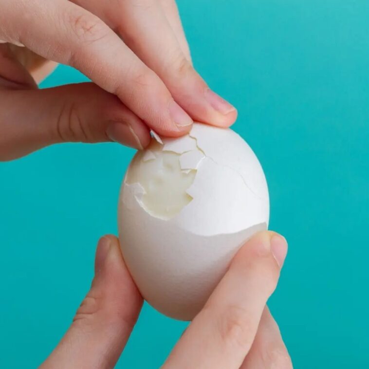 When You Eat Eggs Every Day, This Is What Happens to Your Body