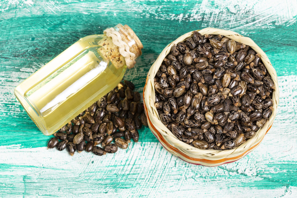 Castor Oil Ricinus communis – Dried seeds and oil from the fruit of the castor plant