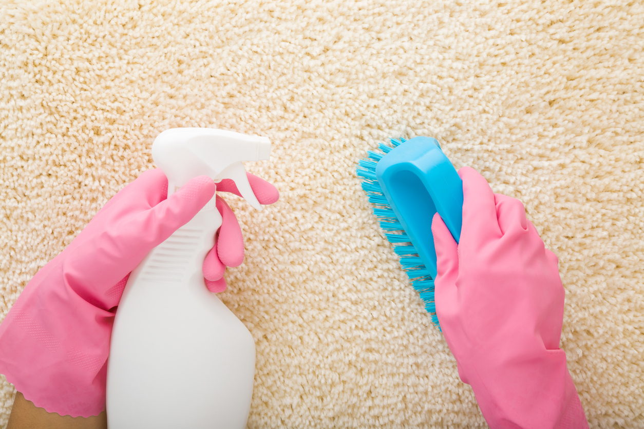 Cleaning beige shaggy carpet remove stain stain