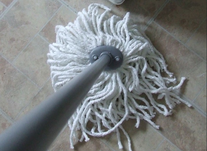 spanish mop broom