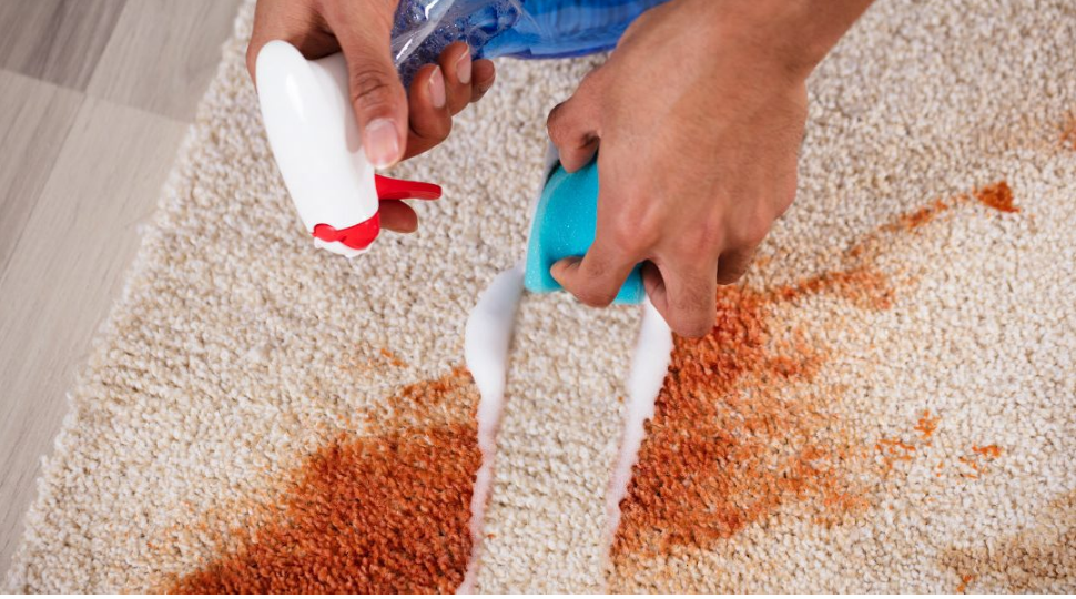 clean carpet cleaning