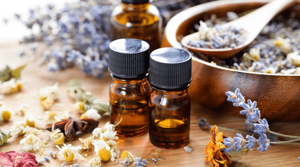 essential oils plants