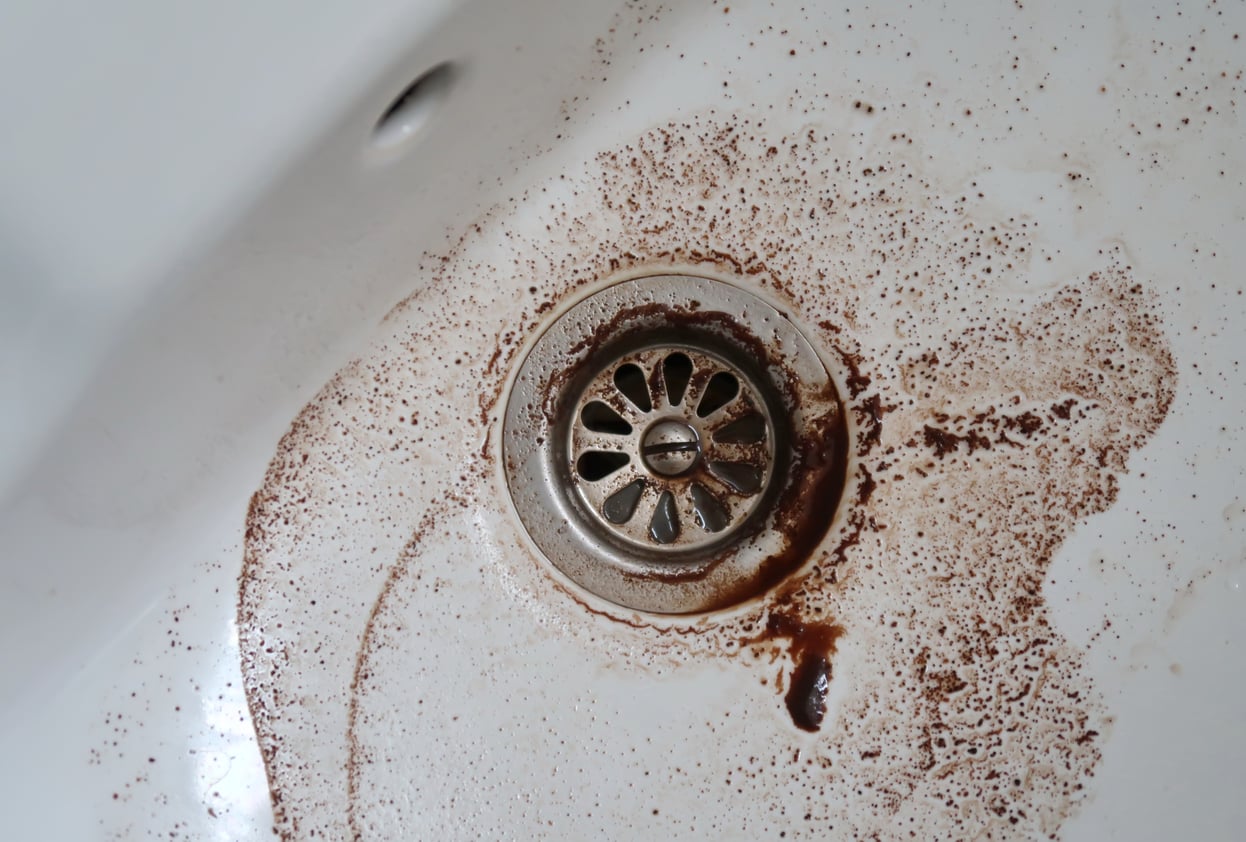 coffee grounds sink