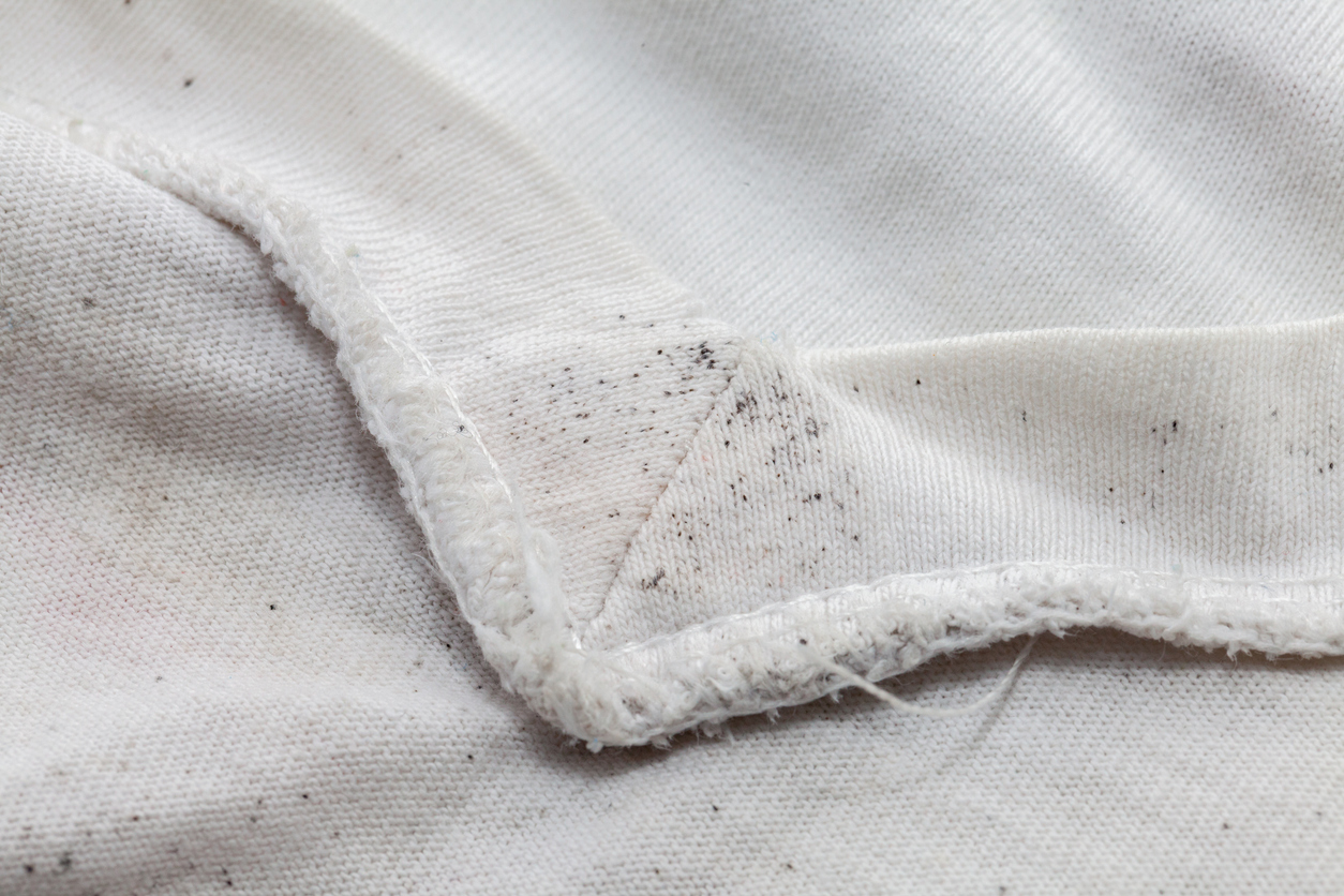 moldy mildew stains on clothes