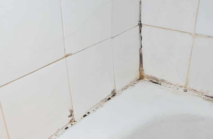 dirty tiles joints moldy mold bathroom