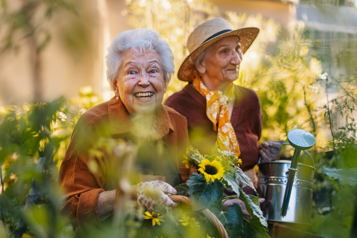 retirement home ehpad garden green spaces walk gardening workshop