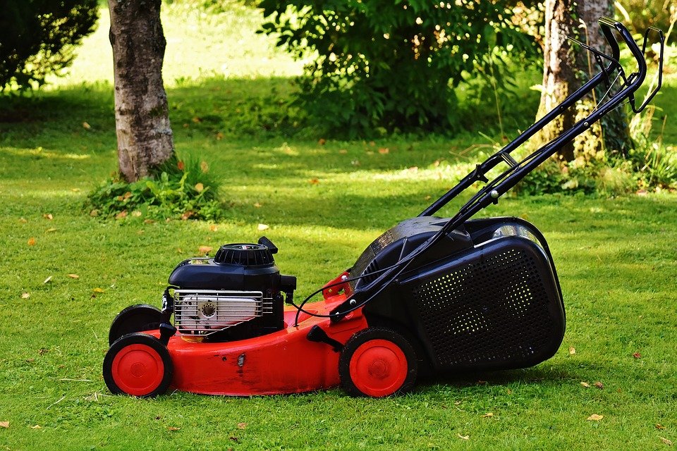 mower mowing lawn grass