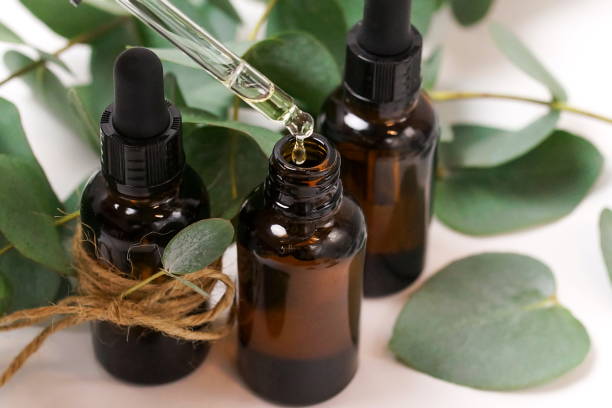 eucalyptus essential oil