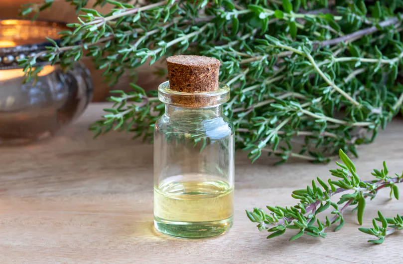 thyme essential oil