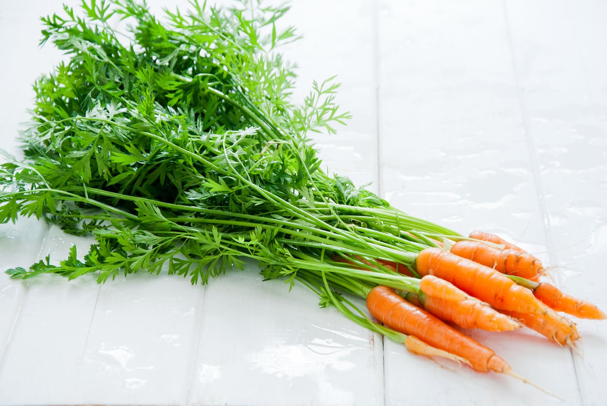 carrot tops leaves