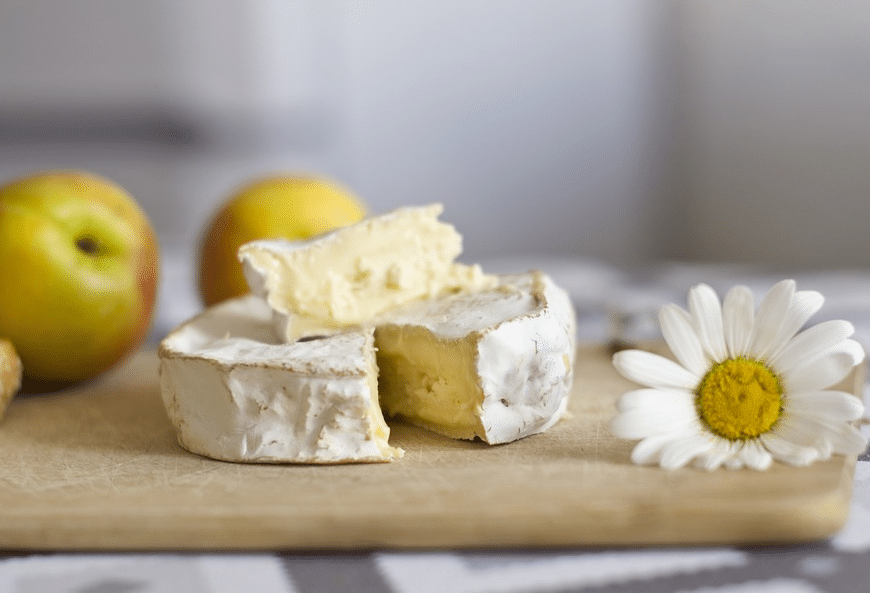 cheese camembert