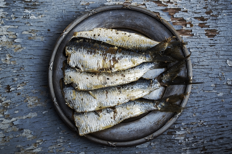 sardines poisson