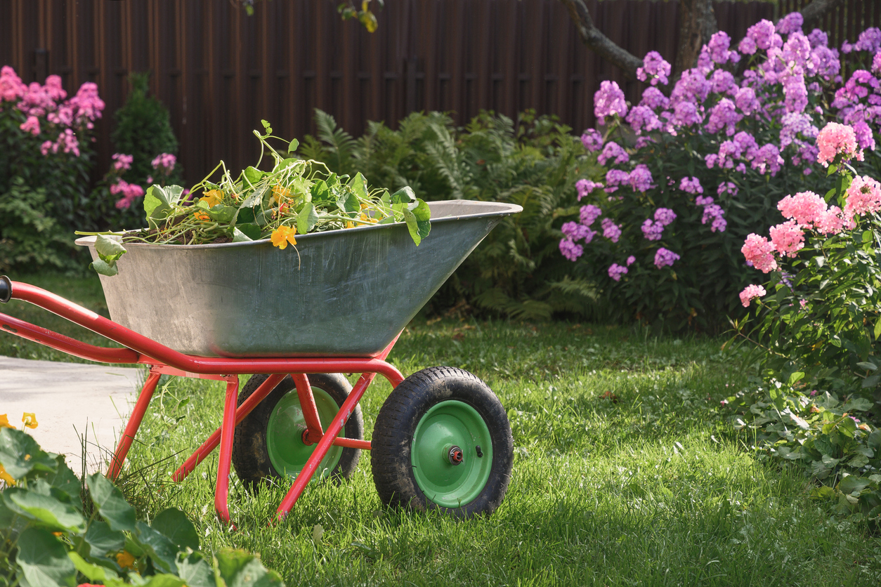 wheelbarrow weeds