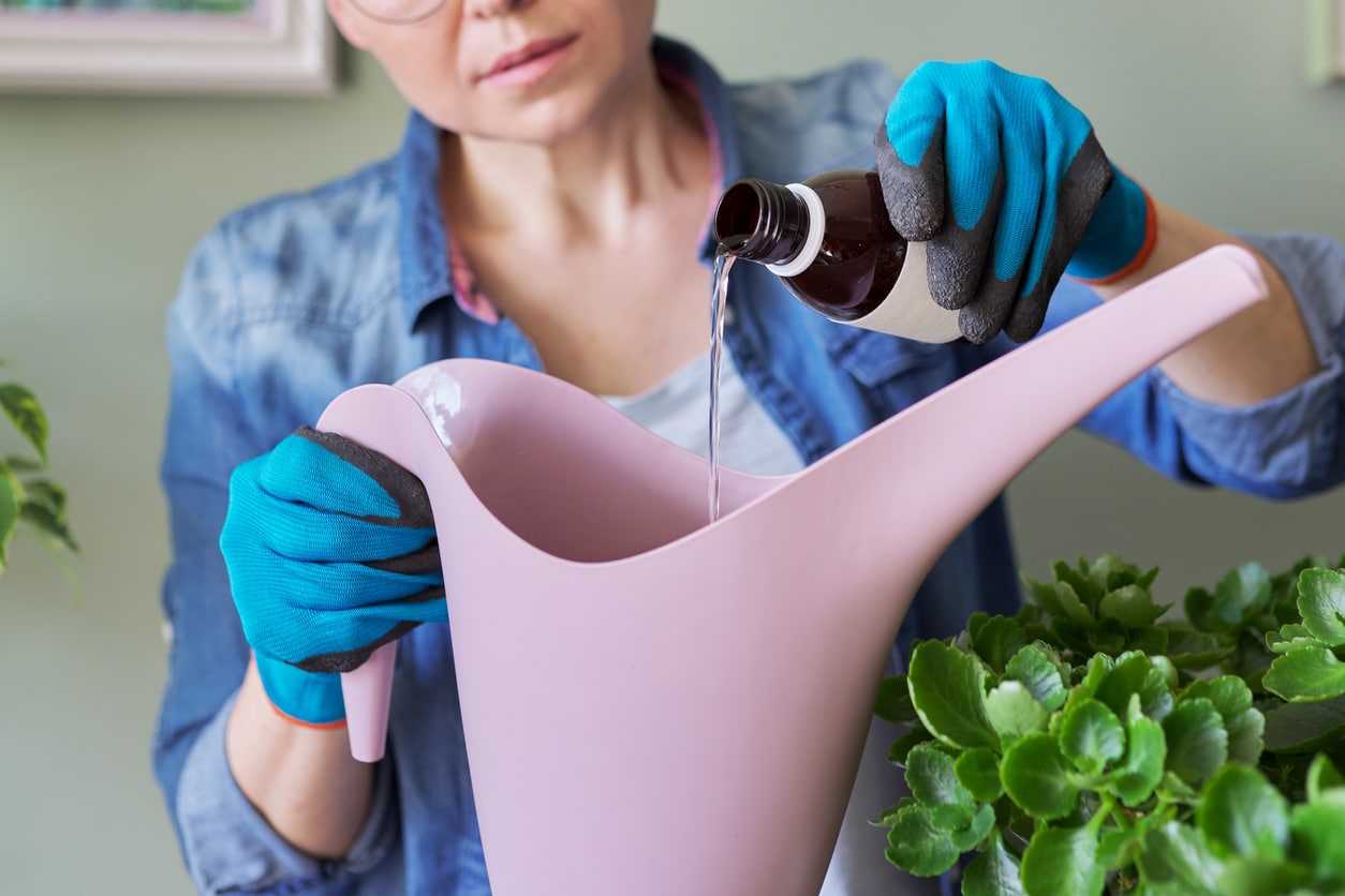 hydrogen peroxide watering plants