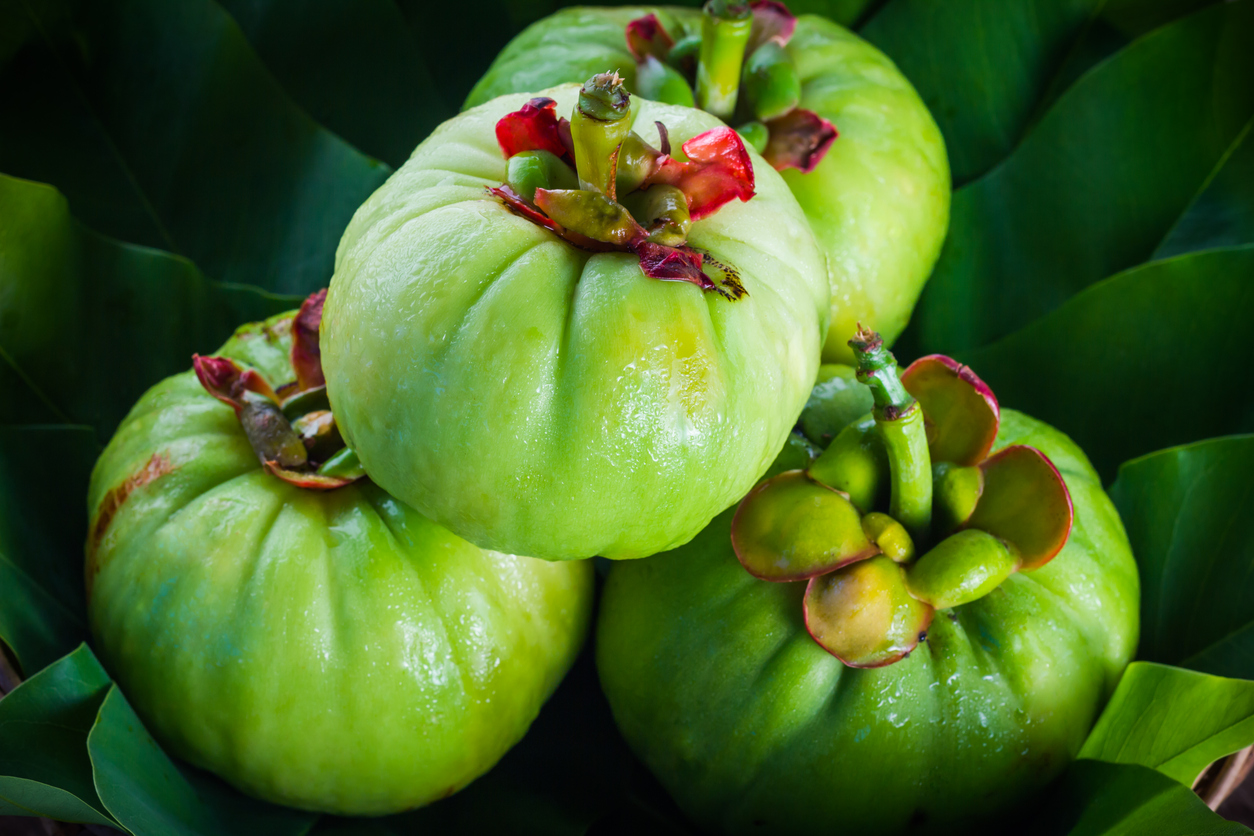 garcinia cambogia exotic fruits plants for weight loss diet weight loss