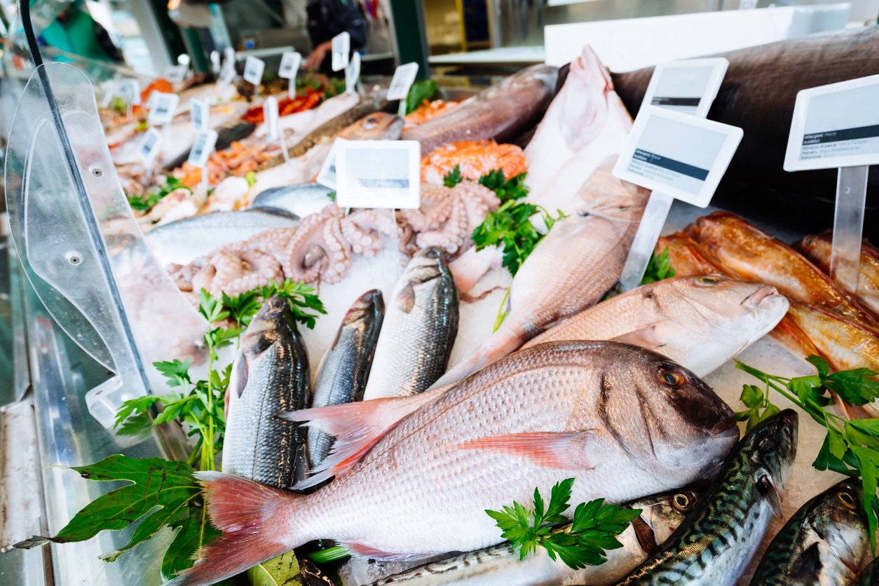 fresh fish seafood seafood products