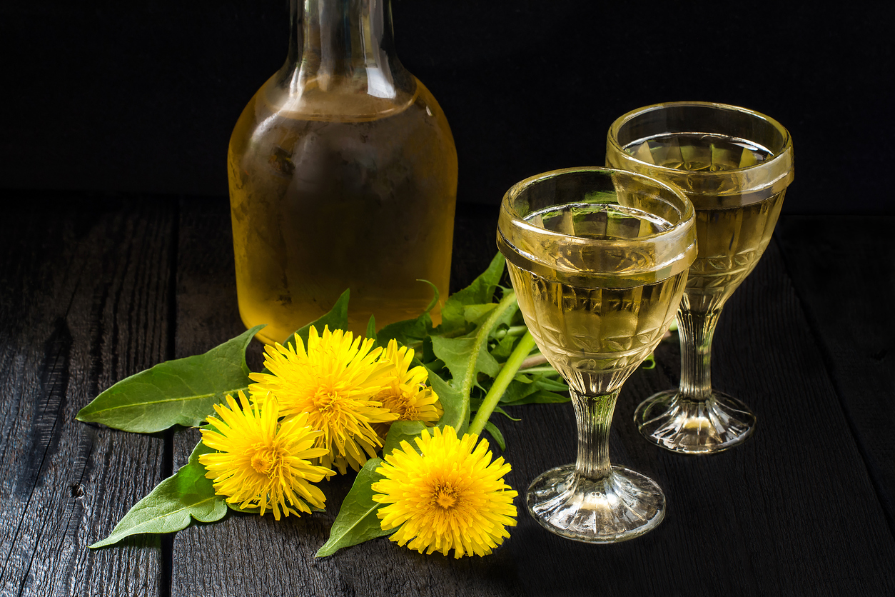 vin maison vin de pissenlit et fleurs de pissenlit recettes aux pissenlits du jardin