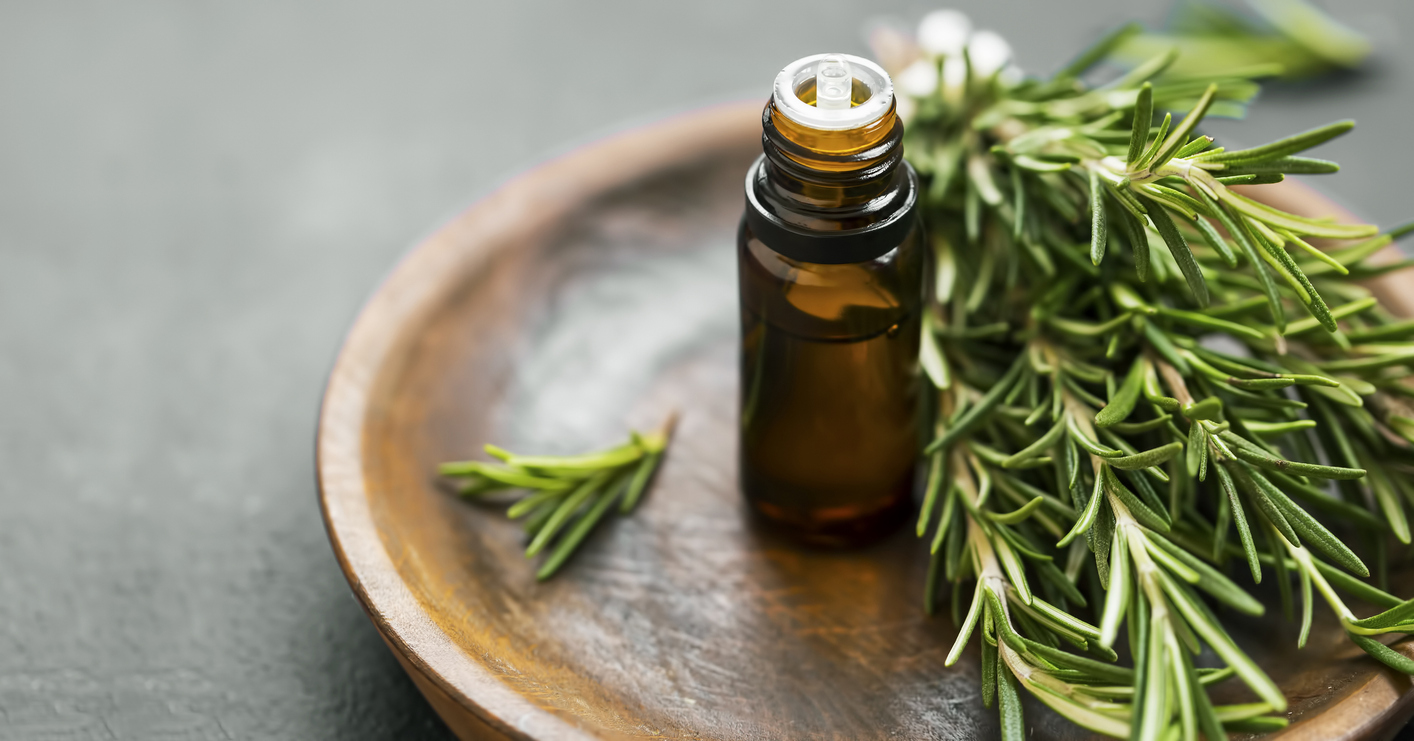 camphor rosemary essential oil essential oils joint pain joints osteoarthritis arthritis