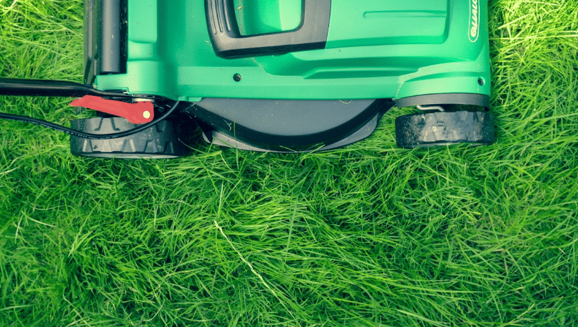 mow lawn mower grass