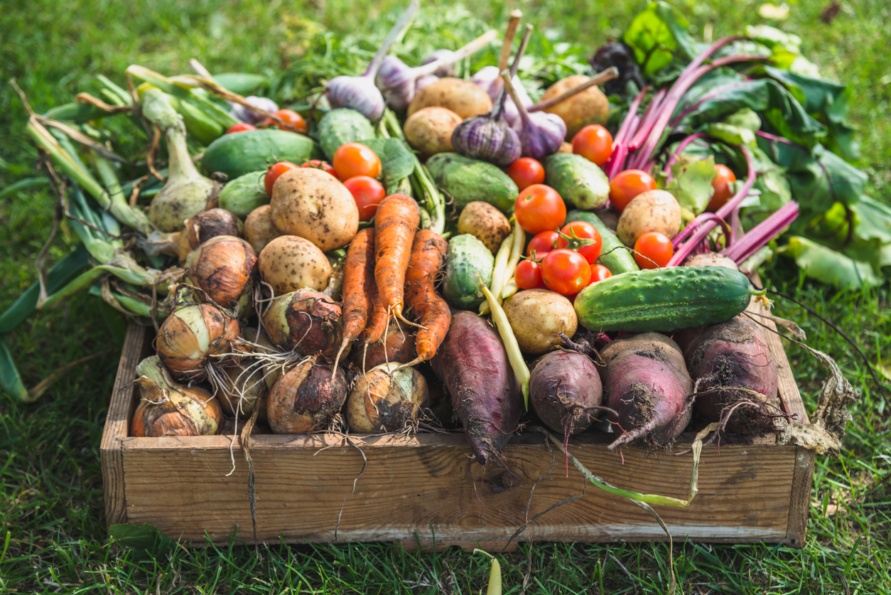 easy vegetables from the garden