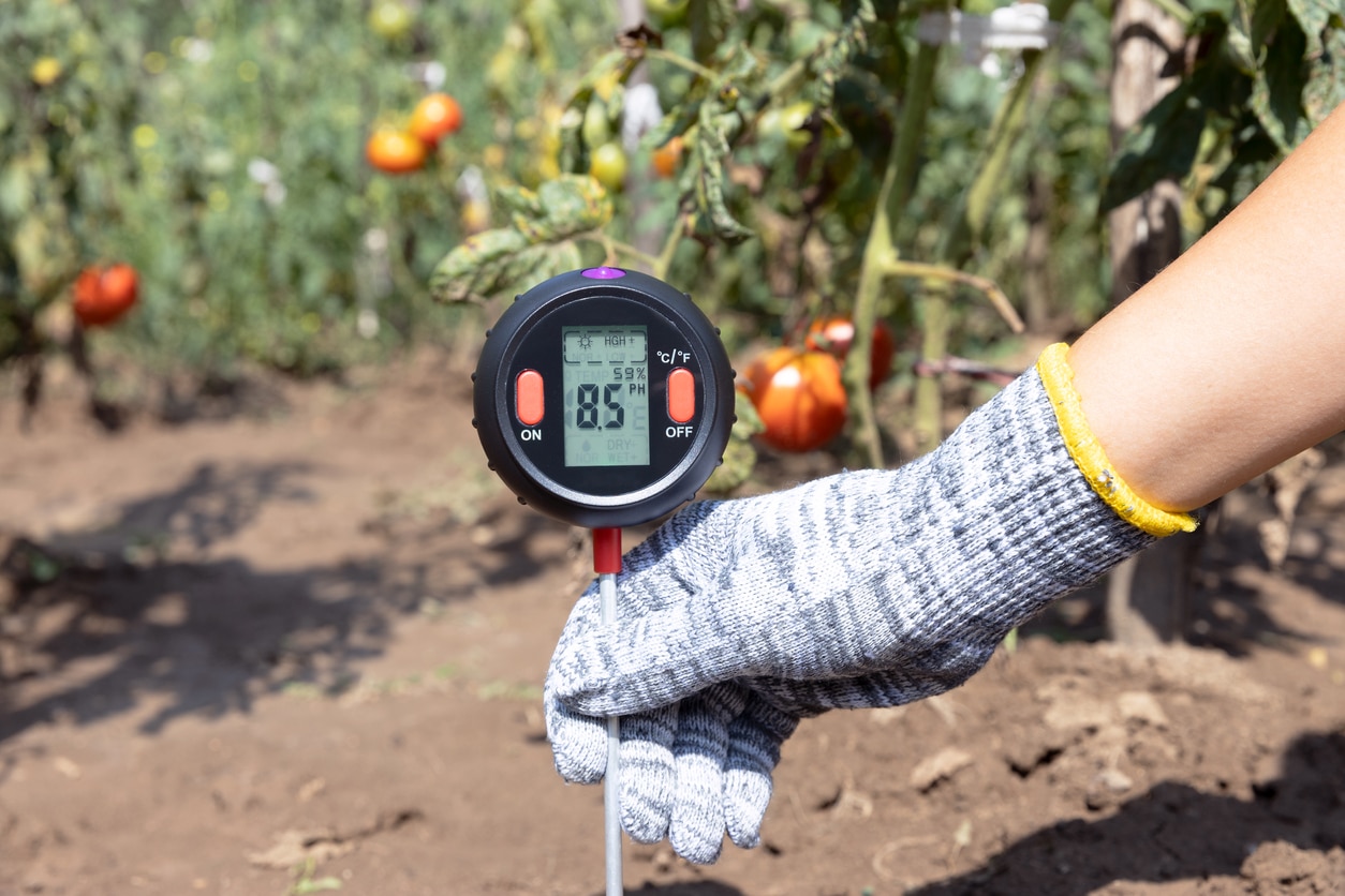 device for measuring the pH of garden soil