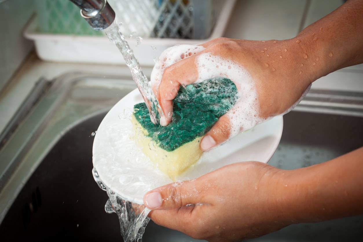 dishwashing sponge