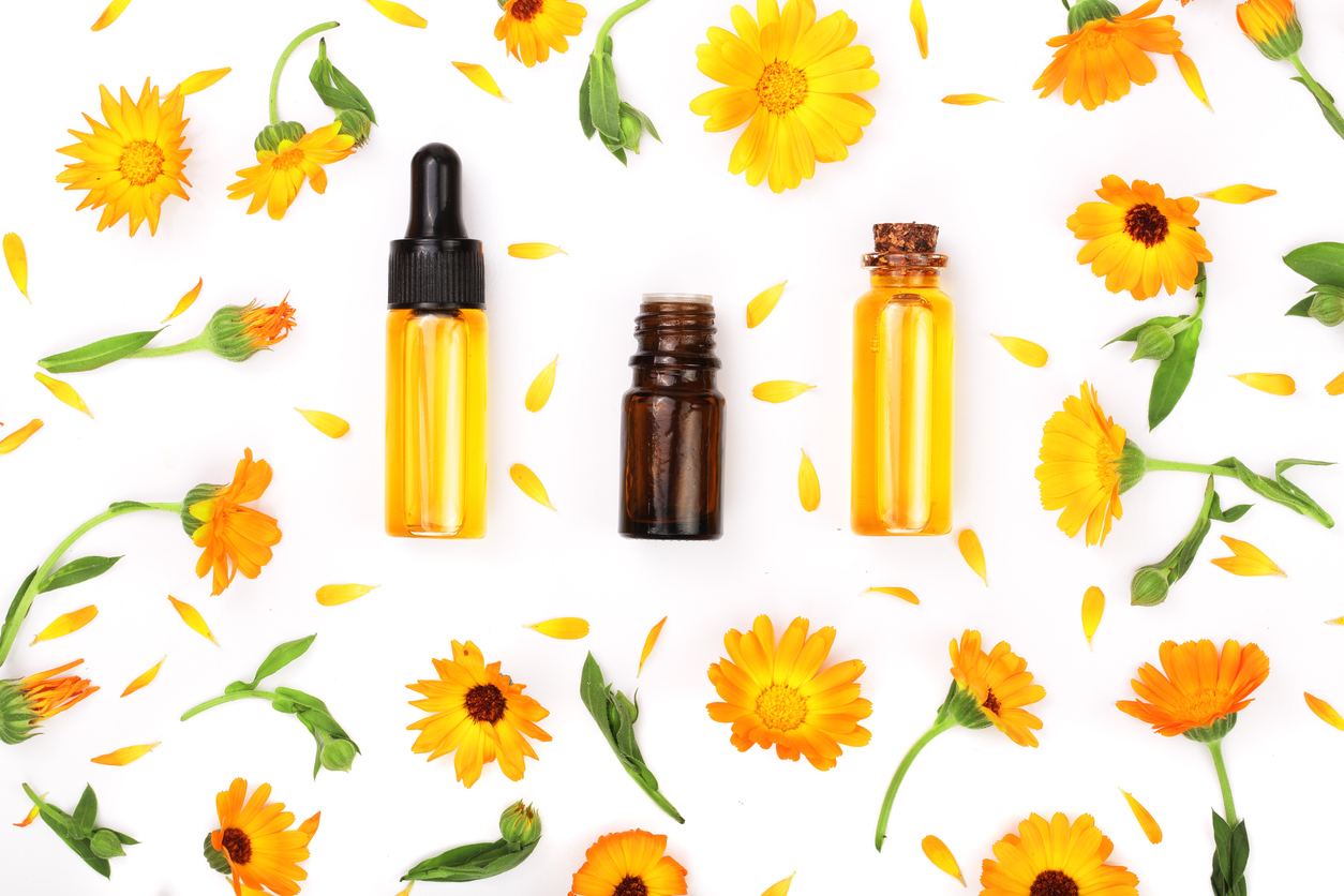 calendula oil flowers