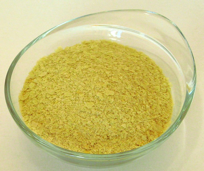 brewer's yeast