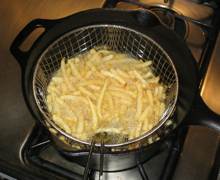 deep fryer fries