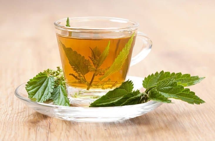 nettle infusion draining plants