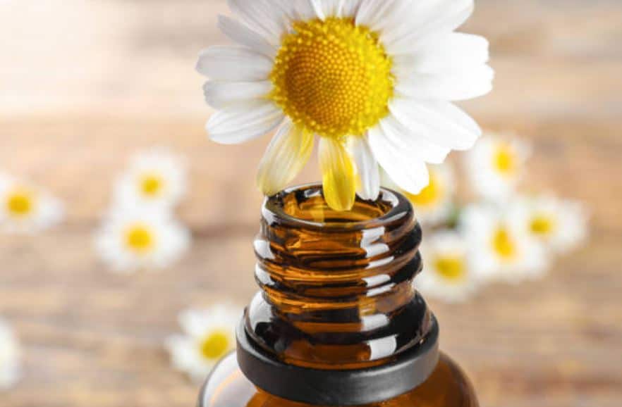 chamomile essential oil