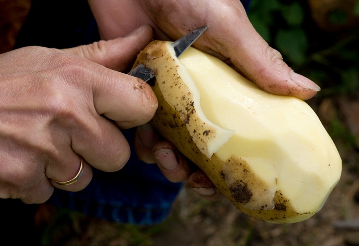 potato peeling