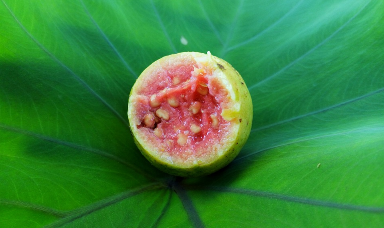 Guava, one of the fruits richest in vitamin C