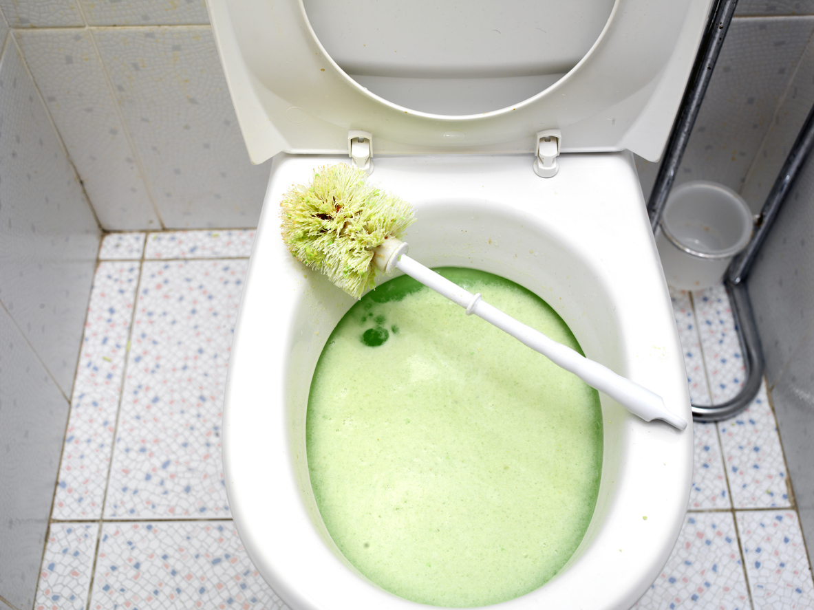 unblock clogged toilets clean