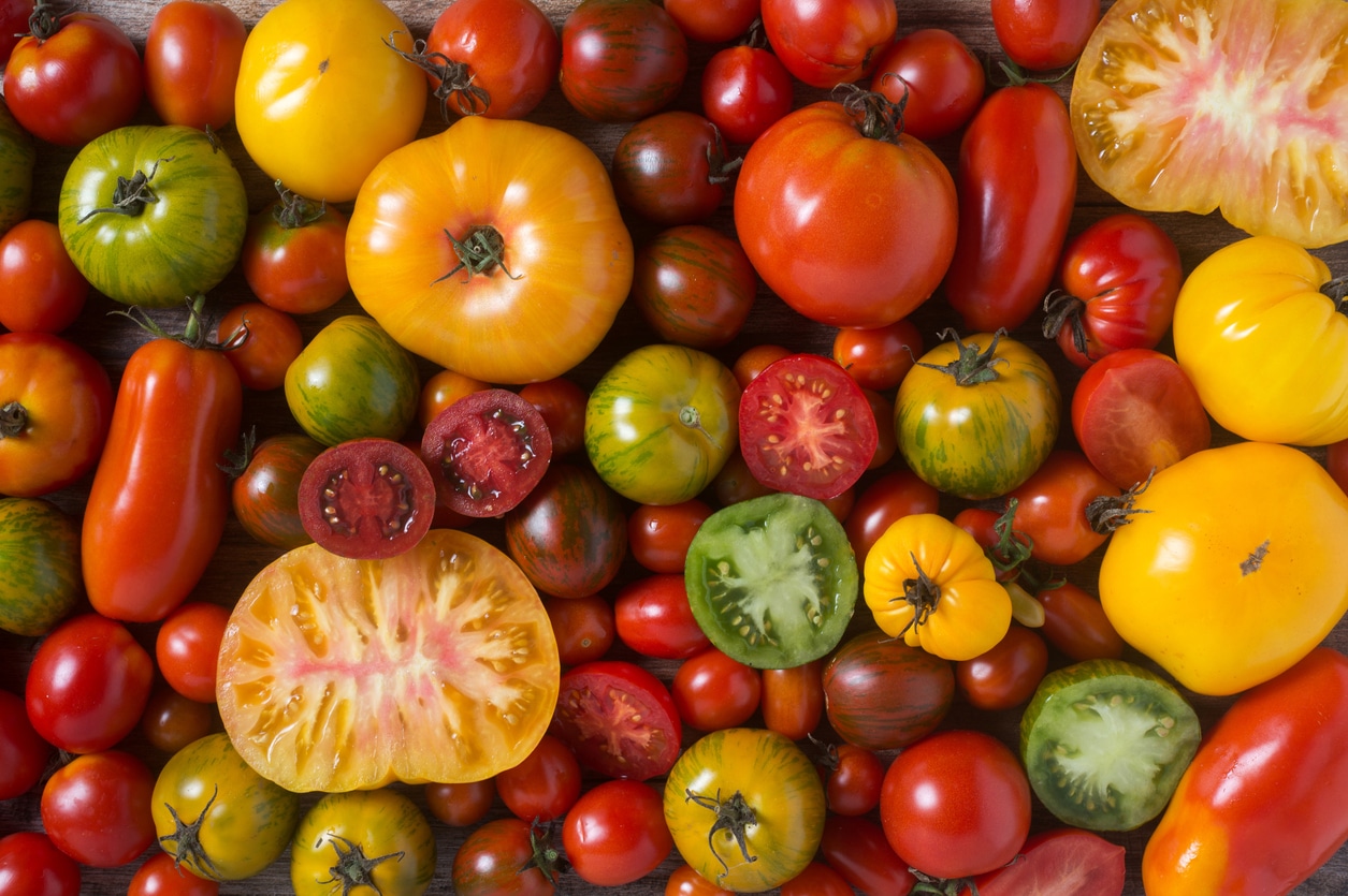 tomato varieties